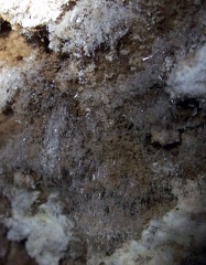 Cave Crystals